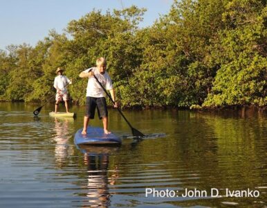 Ecotourism Adventures in Miami and Fort Lauderdale, Part 2 Image